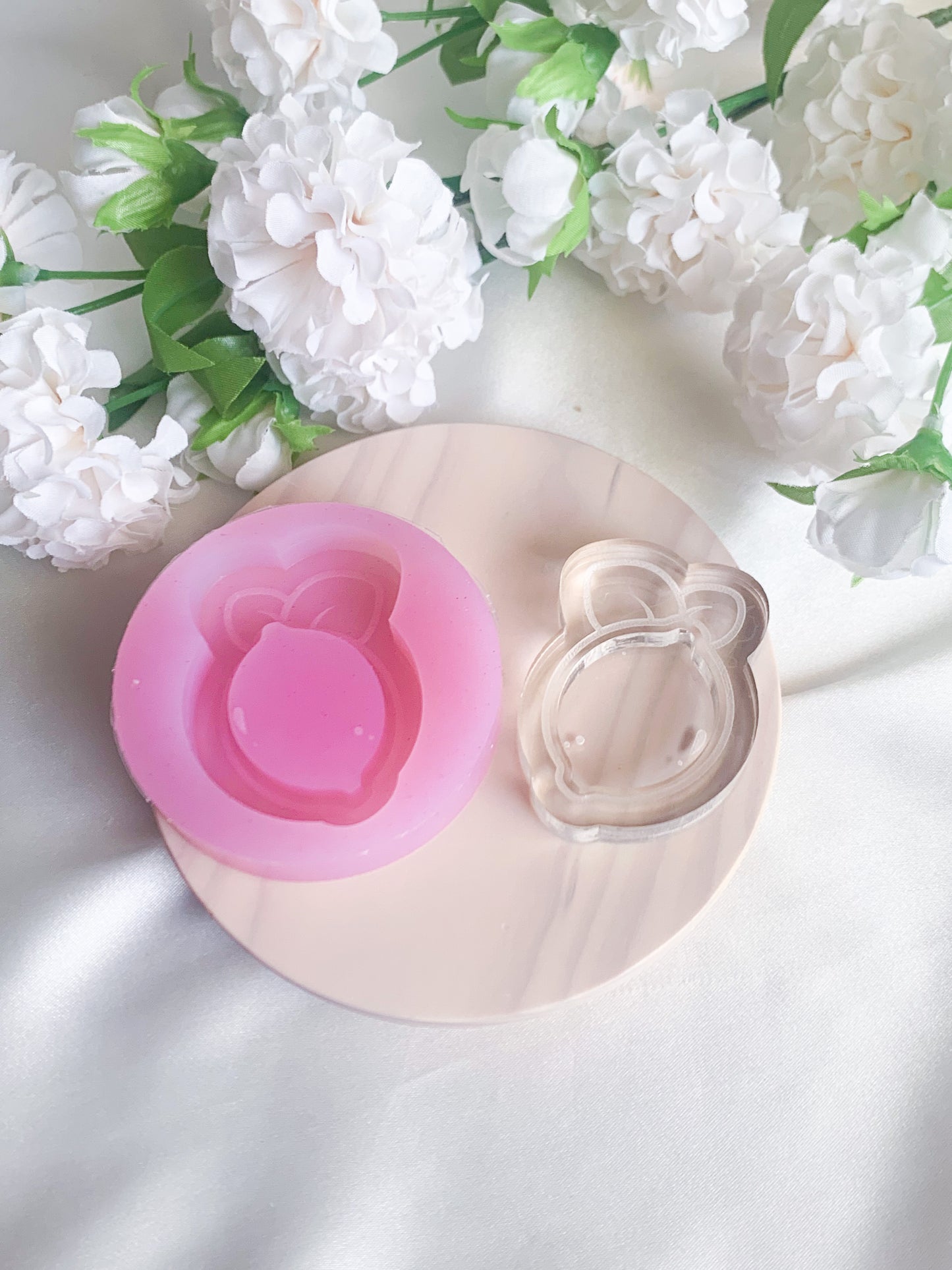 Kawaii Fruit Shaker Molds
